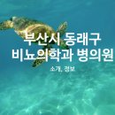 하하정형외과의원 이미지