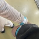 (주)에이더블유 호텔 | 파주아이랑 야당역 도심속 실내동물원 테이블에이 체험후기