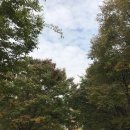 쉴만한물가펜션 이미지