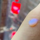 제주블랑 이미지