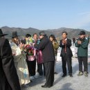 상옥프로폴리스 이미지