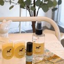 반려견을 위한 천연 아로마테라피 | 부산 비누공방 ] 반려견을 위한 아로마테라피 수업을 진행하였습니다.