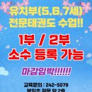 리틀태권도장 이미지