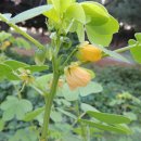 덕풍중학교 이미지