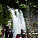 강정동-77 이미지