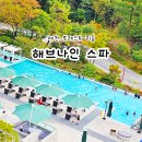 뉴욕버거(제천점) | 제천 리솜 포레스트 해브나인 스파 준비물 시설 먹거리