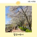 걷고 싶은 중구둘레길(제2코스) | 수원 광교저수지 둘레길 산책코스 주차장 벚꽃 명소 추천