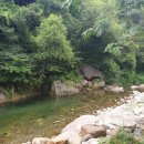 하늘숲황토펜션 이미지