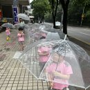 비 오는 날☔️ 이미지