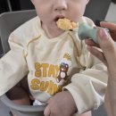 호호아기반찬 | 돌아기 시판이유식 준비물 및 푸드케어 클레 1년 후기