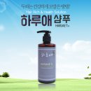 하루애 이미지