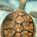 해우환경 이미지