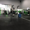 Y-GYM 이미지