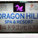 드래곤힐게임장 이미지
