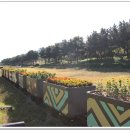 고잔역 2번 출구 이미지