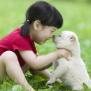 웃으면복이와요 이미지