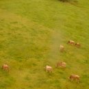 형은농장 이미지