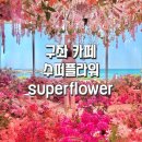 제주구좌카페 오션뷰카페 수퍼플라워 내돈내산 솔직후기