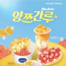 요거트월드 - 양천구 오목로 345 | 요거트월드