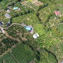 협동조합 둥지 이미지