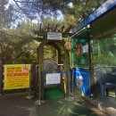 타르보사우루스-1 | 🦖 2025 고성공룡엑스포 방문 후기 2 _ 롤러미끄럼틀, 공룡열차, 5D상영관, 먹거리