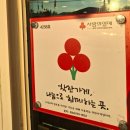 표선면 표선리 777-10 | 제주 표선 어로횟집 : 싱싱한 포장회 맛집! : 고등어회 갈치외 딱새우 : 고갈딱 솔직후기