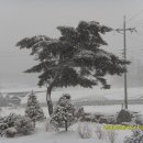 둔내통나무집 이미지