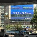 다련 | 길음역 단독룸 미용실 헤어마실 다련원장님 히피펌 후기