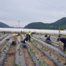 성주군농업기술센터 이미지