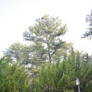 시립미술관(팔각정) 이미지