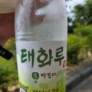 베이스타즈cc | 울산 베이스타즈CC, 관리가 좋았던 신상 골프장 라운드 후기