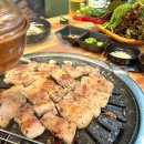 일미 숯불고추장삼겹살 네이버블로그