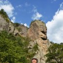 신 황룡 이미지