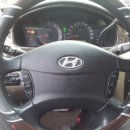 트라제4 이미지