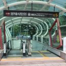 양재시민의숲역 5번출구 이미지