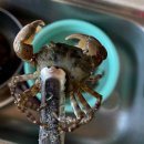 대호민박 이미지