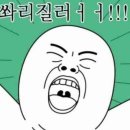 돌고래회수산 이미지