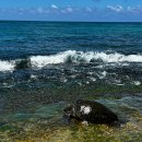 이왕주유소 이미지