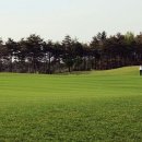 파인리즈CC