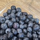 성욱농장 이미지