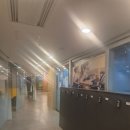 스타 골프 아카데미 | 잠실골프 연습 후기｜QED골프아카데미 잠실점에서 보낸 시간