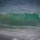 CHERISH GOLDEN 이미지