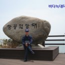 화흥포항관광안내소 이미지