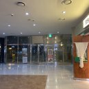 [일산 탄현 제니스 카페추천] 망원동 티라미수 후기
