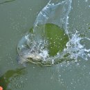 조은하루 이미지