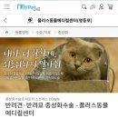 리온메디칼 이미지