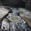 춘자비어 이미지