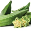 더오크라 이미지