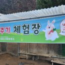 대둔산캠핑랜드 이미지