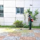 진보면사무소 이미지